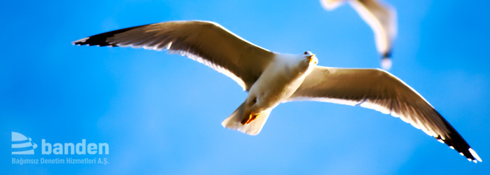 content-banner-bagimsiz-denetim